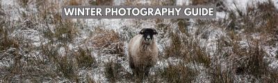 Get the most out of your winter photography