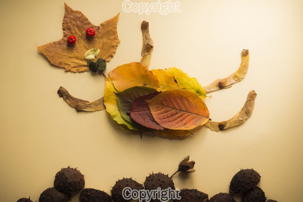 Mike Newman: Falling Leaves Man Equipment: Canon 70D & 50mm f1.8