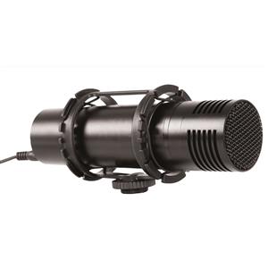 Dorr Stereo Microphone CV02