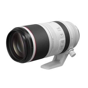 Canon RF 100-500mm F4.5-7.1L IS USM RF Lens