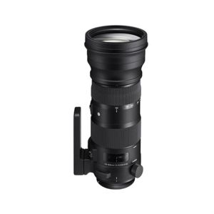 (not on web) Sigma 150-600mm F5-6.3 Sport DG OS HSM Lens - Canon Fit