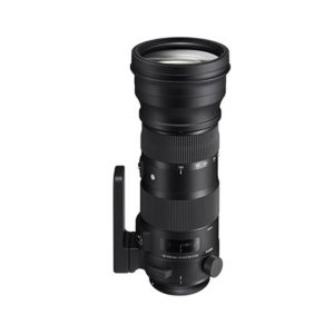 Sigma 150-600mm F5-6.3 Sport DG OS HSM Lens - Nikon Fit