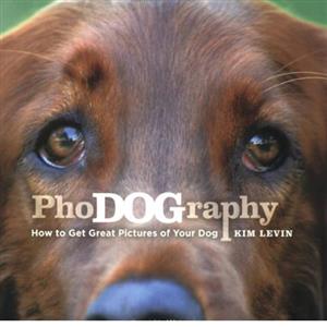 PhoDOGraphy: How to Get Great Pictures of Your Dog - Kim Levin