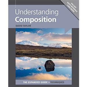 Understanding Composition The Expanded Guide - David Taylor