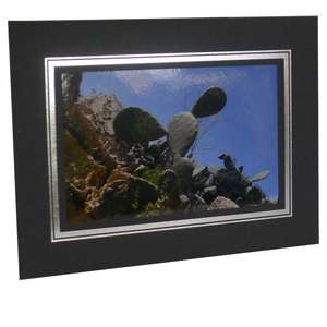 Kenro Rectangular Black Photo Strut Mounts for 6x4 Inch Photos Pack of 10