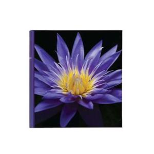 Botanics Blue Traditional Photo Album - 100 Sides