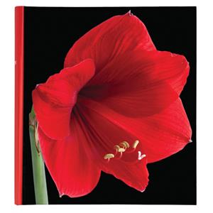 Botanics Red Traditional Photo Album - 100 Sides