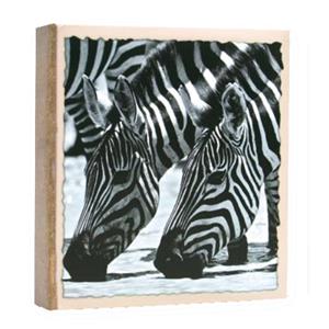Wildlife Zebra 7.5x5 Slip In Photo Album - 200 Photos
