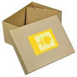 Green Earth Yellow Flower Photo Box for 700 6x4 Photos