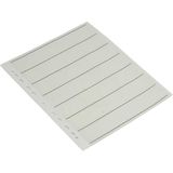 Paterson 35mm Negative Filing Spare Sheets - Pack of 25