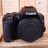 Used Canon EOS 250D DSLR Camera Body