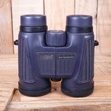 Used Bushnell H20 10x42 Waterproof Binoculars